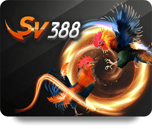 The Best Games to Play on 789Club Bet Online